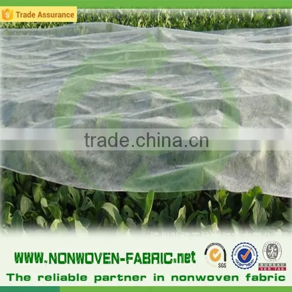 Heavy Black Nonwoven Weed Control Sheet, Weed Barrier, Weed Control Membrane photo-3