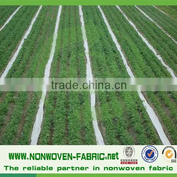 Made in China Anti-uv Breathable Nonwoven Fabric Landscape Garden Landscape photo-2