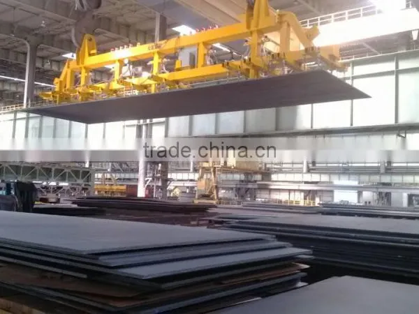 Vacuum Plate Lift photo-3
