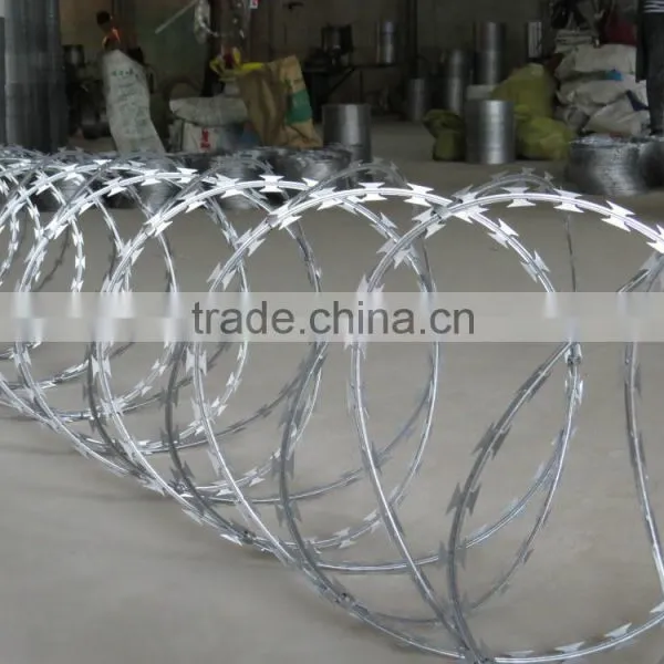 Hot Sell Razor Wire of Concertina photo-4