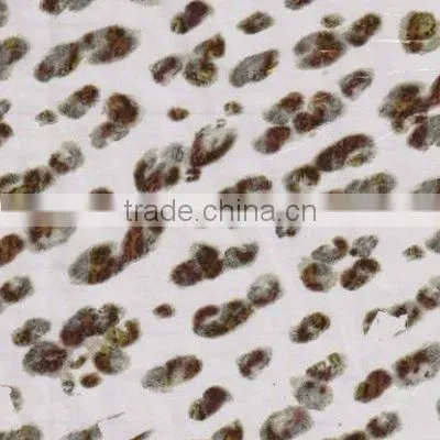 Heat Transfer Film