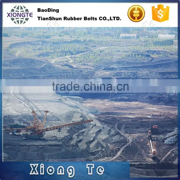 Transmission Rubber Ep Nn Polyester PVC Conveyor Belts photo-5