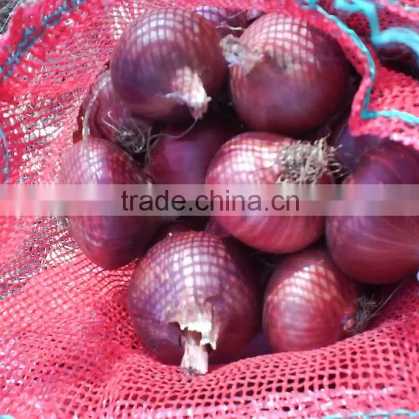 Onion photo-4