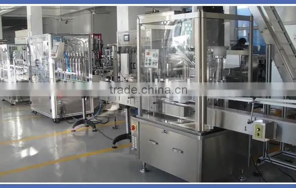 China Supplier Factory Price Automatic Capping Machine photo-2
