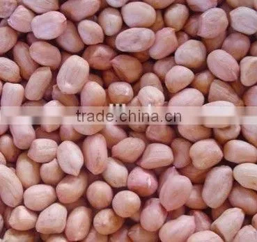 Lower Price Blanched Peanut Kernels Round Type photo-4