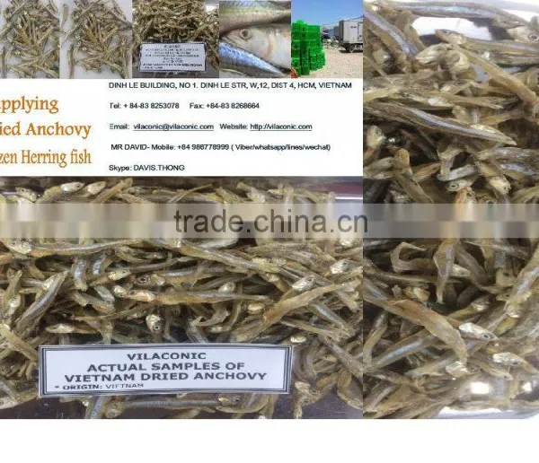 Dried Anchovy (Sprats) Skype: DAVIS.THONG