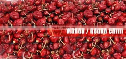 Round Red Chilles From Paramakudi photo-4