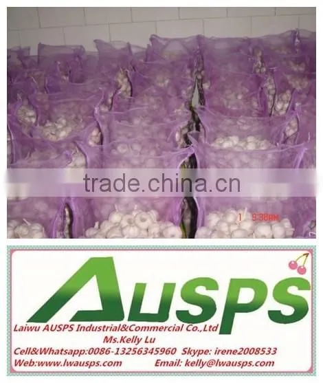 China Fresh Yellow Holland Potato photo-2