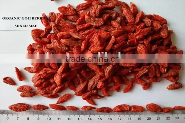 Lycium Fruit photo-2
