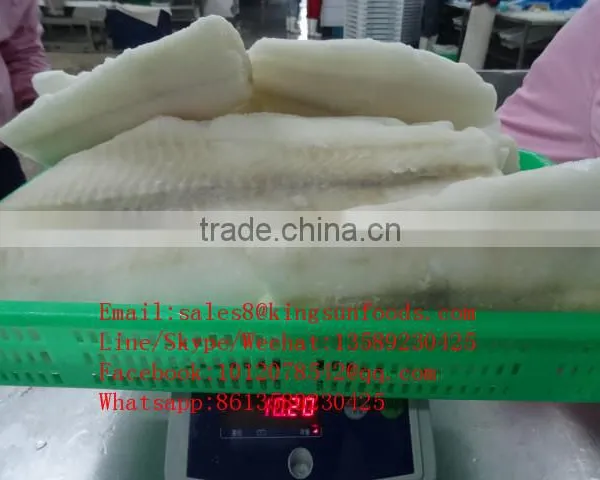 High Quality Light Salted Seafood Fish Saithe Fillet on Sale photo-2