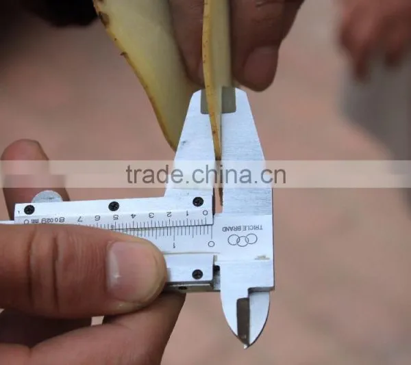 FC-336 Multipurpose Vegetable Slicer and Shredder Cutting Machine photo-6