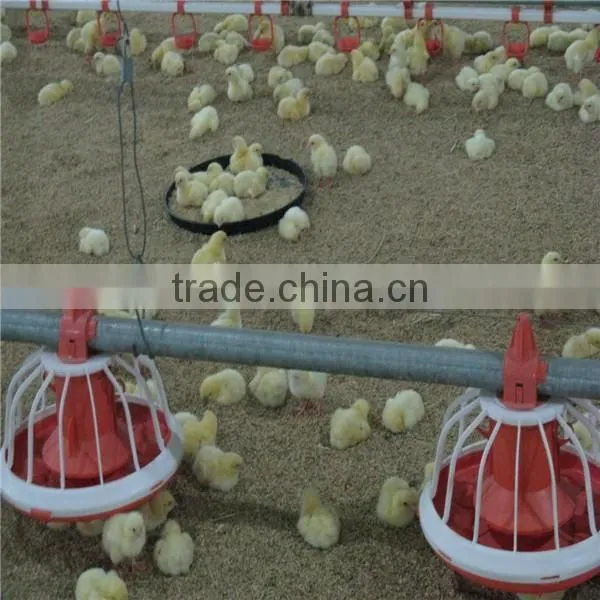 Broiler Chicken Feeding Equipment photo-5