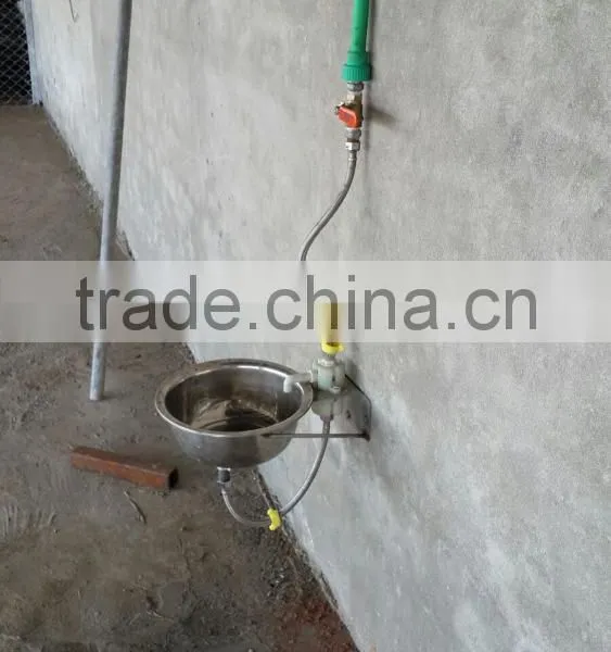 Hot Sell Low Price Stainless Chicken Waterer photo-4