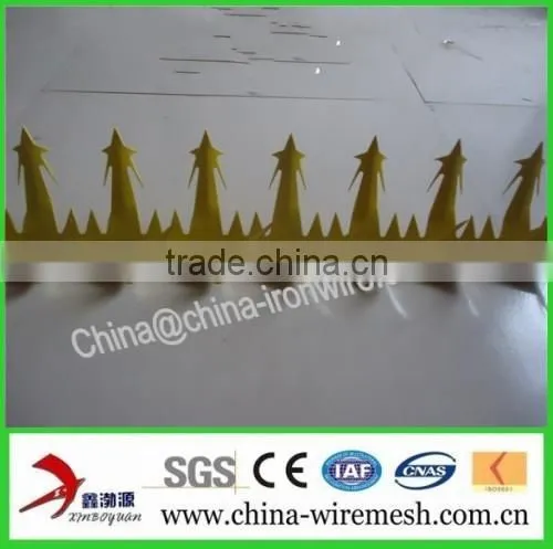 Barbed Nails / Anti-climb Spikes/ Security Spikes (factory ) photo-2