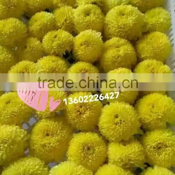 Flower Dryers / Flower Drying Machine photo-5