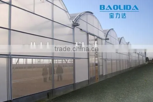 BLD Large Multi-span Plastic Film Green House and Commercial Green House for Plant Growth photo-3