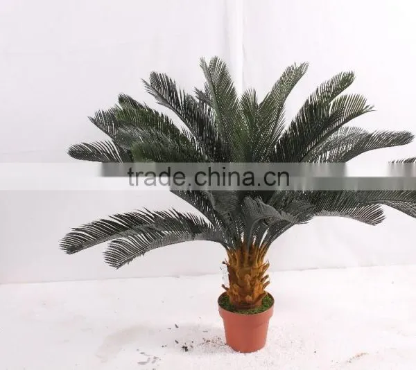 SJ300915 Decorative Cycas Revoluta Tree/artificial Cycas Revoluta Bonsai Plant