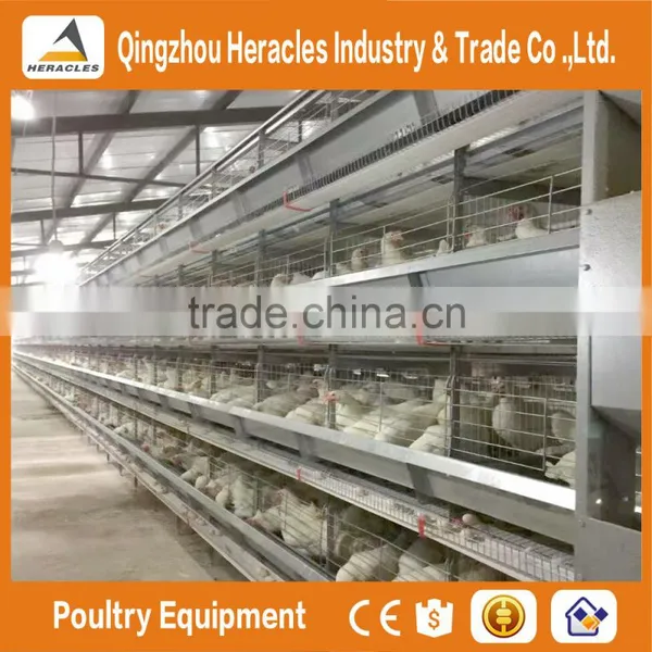 Heracles Factory Price Poultry Equipment Automatic Layer Chicken Egg Cages photo-5