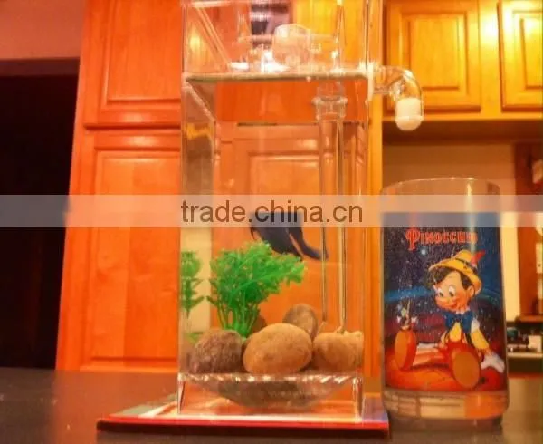 my Fun Fish Clean Tank With LED photo-2