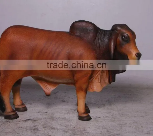 Definitive Brahman Looking Right