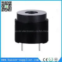 Magnetic Transducer