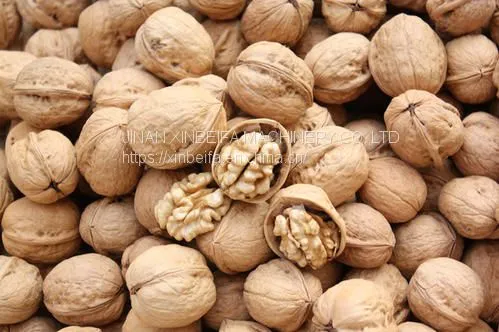 Walnut Drying Machine photo-5