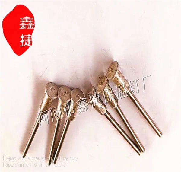 Marine Insulation Anti-corrosion Nails From Themarine Stores Customized Steel Insulation Nails for Cargo Ship photo-2