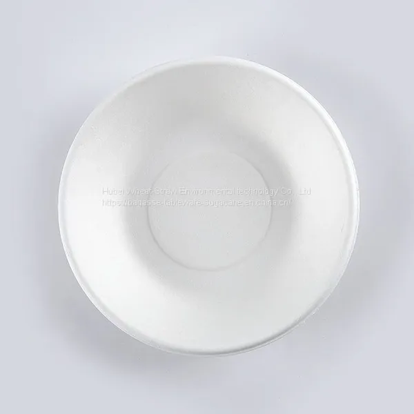 Disposable Biodegradable 7INCH Bowl Take Away Sugarcane photo-2