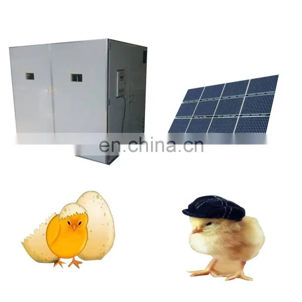 Multifunction Fully Automatic Temperature Control Poultry Chicken Goose Duck Egg Incubator Solar Egg Incubator photo-5
