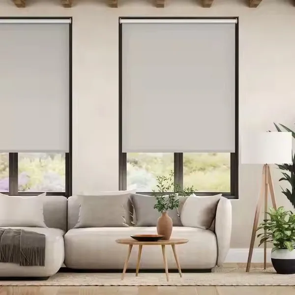 Blackout Roller Window Shade Curtain Motorized Automatic Light Filtering Sunscreen Architect Roller Blinds for Windows