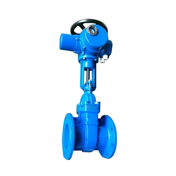 Factory Direct Sales of High-quality Electric Rising Stem Soft Seal Gate Valve photo-2