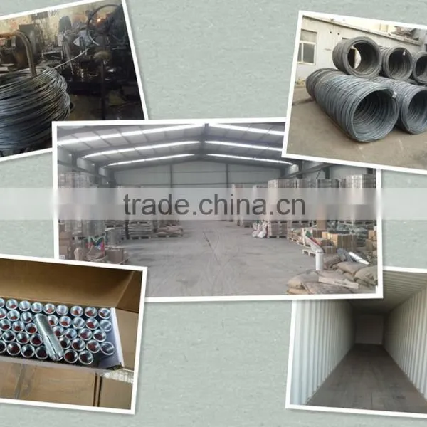 High Strength Carbon Steel HDG F436/Stainless Steel DIN125 Flat Washer photo-6