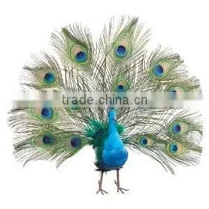 Natural Artificial Hobby Lobby Peacock Feathers photo-6