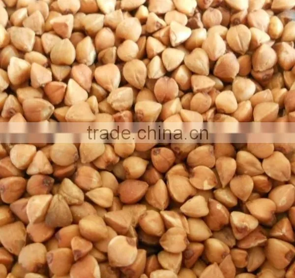ROASTED BUCKWHEAT