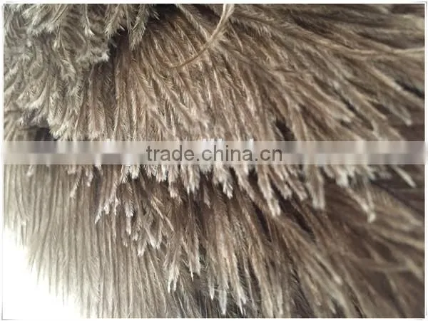 ONE BLACK FIRST GRADE OSTRICH FEATHER DUSTER photo-6