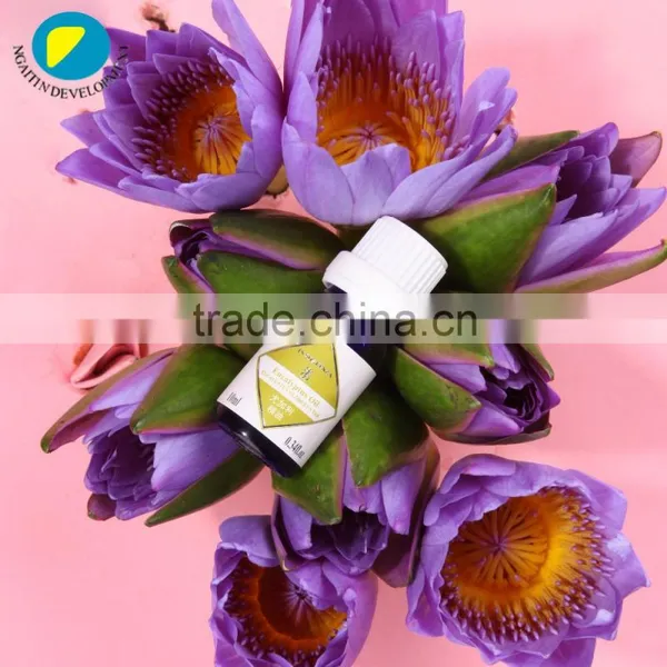 Widely Use 100 Pure Eucalyptus Oil Eucalyptus Globlus Oil