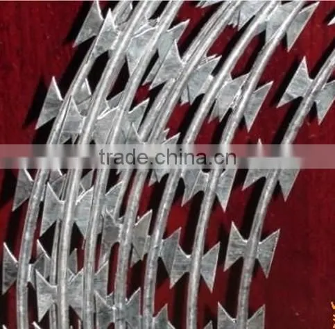 2015 New Design Concertina Razor Wire For Prison photo-4