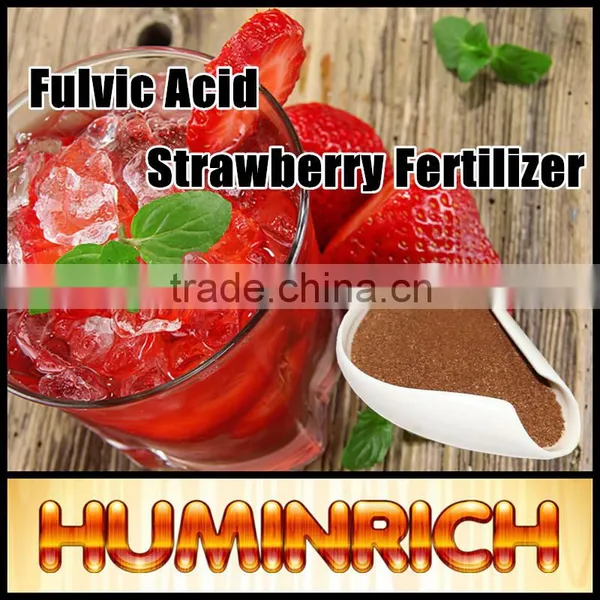 FAQ 31--What Impact Does Huminrich Fulvic Acid Apply To Strawberries? photo-2