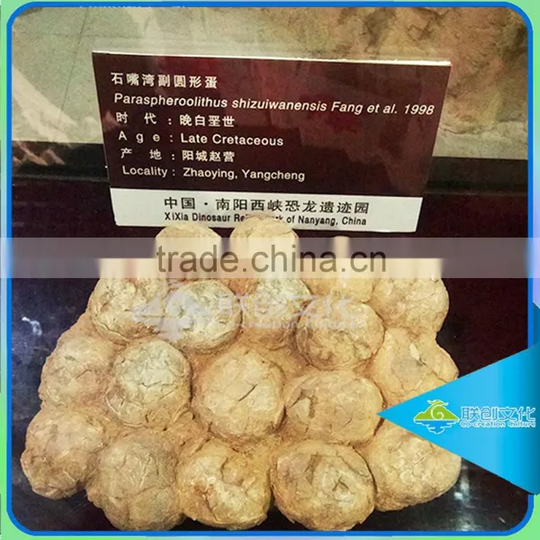 Lifesize Dinosaur Eggs Fossils for Museum photo-3