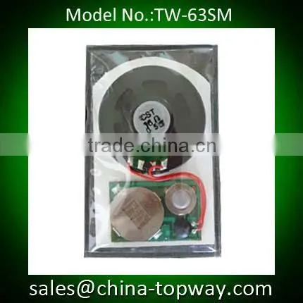 Electronic Music Module for Greeting Cards Quality Choice Supplier's Choice photo-3