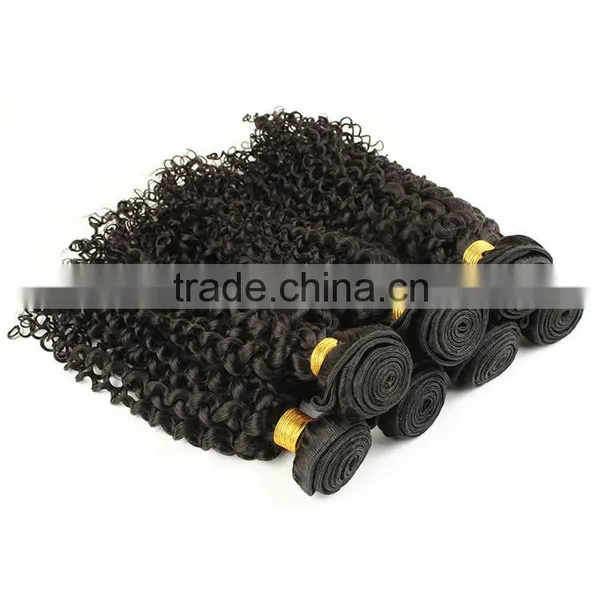 100% Unprocessed Human Virgin Brazilian Hair Kinky Curly photo-3