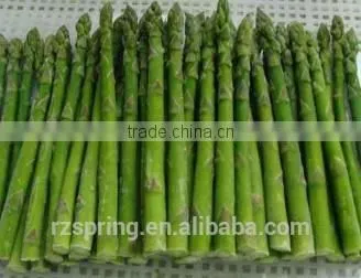 FROZEN ASPARAGUS,FROZEN GREEN PEAS,FROZEN POTATO CHIPS,FROZEN ONION,FROZEN MIXED VEGETABLES,FROZEN GARLIC,FROZEN VEGETABLES