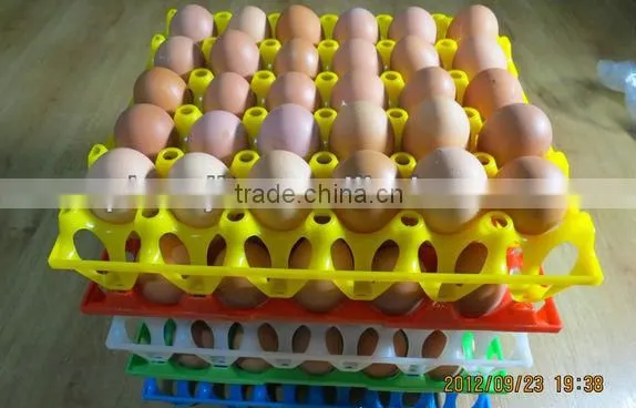 30 Holes Plastic Egg Tray for Packing and Transportation 30*30*5 cm Plastic Egg Tray for Sale photo-5