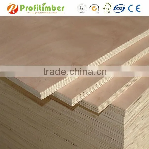 Eucalyptus Boards / Eucalyptus Hardwood Plywood photo-2