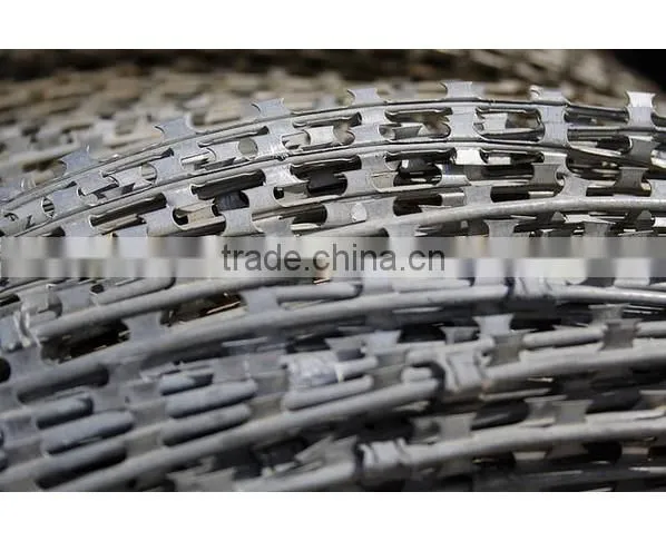 Galvanized BTO-22 Low Price Concertina Razor Barbed Wire photo-3