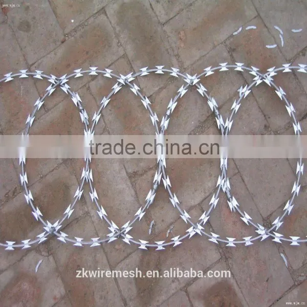 Concertina Galvanized Razor Wire /Razor Barbed Wire (FACTORY) photo-2