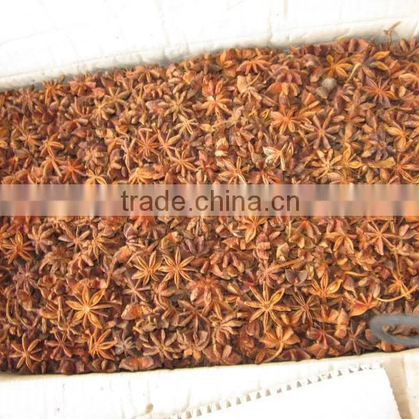 AUTUMN CROP HIGHT QUALITY STAR ANISEED (skype:tuanminhco)
