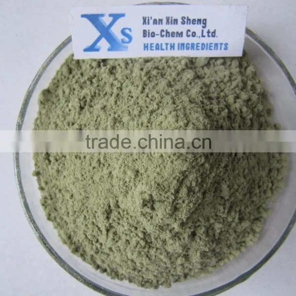 GMP Kosher Natural Moringa Leave Powder/Moringa Oleifera Powder