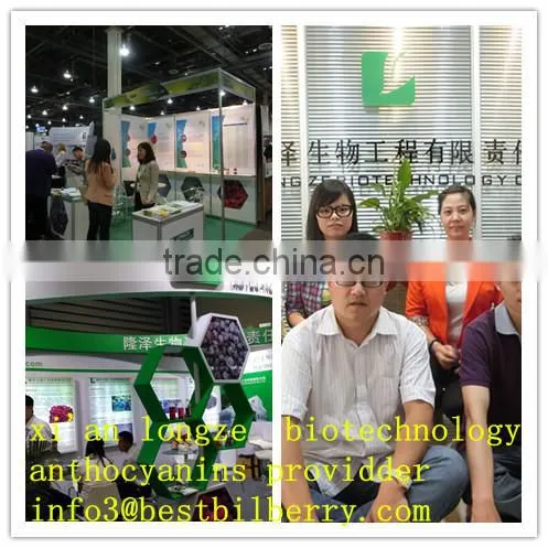 Tumeric Extract Tumeric P.e Powder photo-3