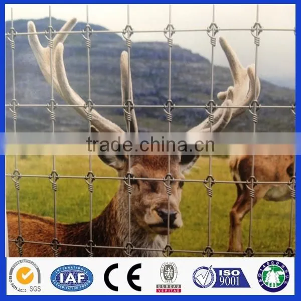 Anping Deming Produce Crosslock Knot Field Fence photo-2